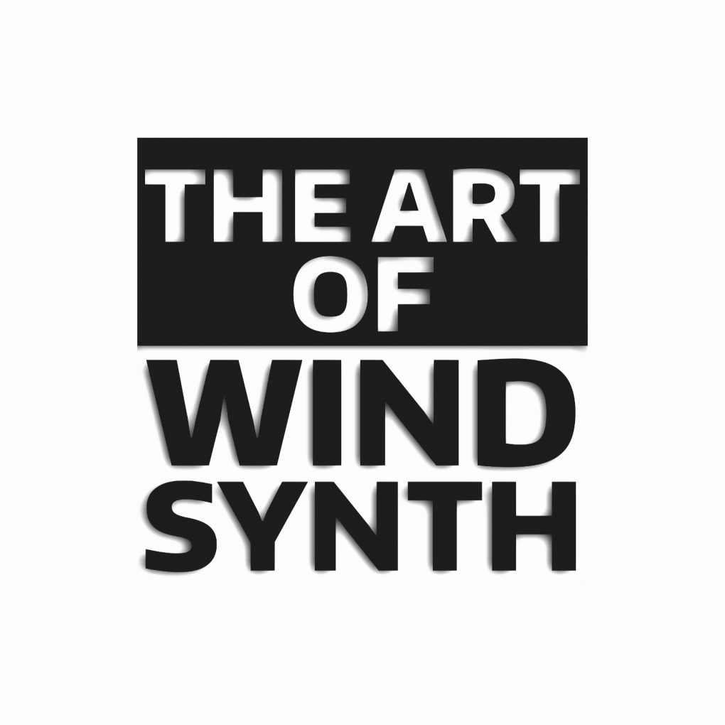the art of wind synth